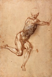 Nudo maschile seduto che si gira, c.1505
